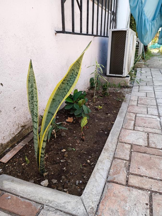 Hostal A 10 Min Del Centro De Веракрус Экстерьер фото